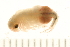  ( - 09PROBE-008661)  @12 [ ] CreativeCommons - Attribution (2010) Unspecified Centre for Biodiversity Genomics