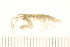  ( - 09PROBE-008664)  @14 [ ] CreativeCommons - Attribution (2010) Unspecified Centre for Biodiversity Genomics
