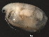  ( - NJAK-0076)  @13 [ ] CreativeCommons - Attribution (2011) CBG Photography Group Centre for Biodiversity Genomics