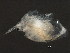  ( - NJAK-0078)  @13 [ ] CreativeCommons - Attribution (2011) CBG Photography Group Centre for Biodiversity Genomics