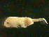  ( - NJCS-23)  @12 [ ] CreativeCommons - Attribution (2010) Unspecified Centre for Biodiversity Genomics