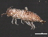  ( - NJGS-1)  @13 [ ] CreativeCommons - Attribution (2010) CBG Photography Group Centre for Biodiversity Genomics