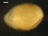  ( - NJNAH-011)  @11 [ ] CreativeCommons - Attribution (2014) Nicholas Jeffery Centre for Biodiversity Genomics