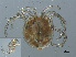  ( - RMNH.ACA.361)  @12 [ ] CreativeCommons - Attribution Non-Commercial Share-Alike (2015) Unspecified Naturalis Biodiversity Center