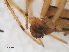  ( - RMNH.ARA.12542)  @12 [ ] CreativeCommons - Attribution Non-Commercial Share-Alike (2012) Unspecified Naturalis, Biodiversity Centre