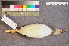  ( - ZMA.AVES.58227)  @11 [ ] CreativeCommons - Attribution Non-Commercial Share-Alike (2013) Unspecified Naturalis Biodiversity Center