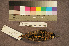  ( - ZMA.AVES.58293)  @11 [ ] CreativeCommons - Attribution Non-Commercial Share-Alike (2013) Unspecified Naturalis Biodiversity Center