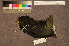  ( - ZMA.AVES.58787)  @11 [ ] CreativeCommons - Attribution Non-Commercial Share-Alike (2013) Unspecified Naturalis Biodiversity Center