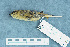  ( - ZMA.AVES.58810)  @13 [ ] CreativeCommons - Attribution Non-Commercial Share-Alike (2013) Unspecified Naturalis Biodiversity Center