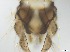  ( - RMNH.5091527)  @11 [ ] CreativeCommons - Attribution Non-Commercial Share-Alike (2018) Unspecified Naturalis Biodiversity Center