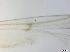  ( - RMNH.5091528)  @11 [ ] CreativeCommons - Attribution Non-Commercial Share-Alike (2018) Unspecified Naturalis Biodiversity Center