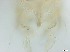  ( - RMNH.5091538)  @11 [ ] CreativeCommons - Attribution Non-Commercial Share-Alike (2018) Unspecified Naturalis Biodiversity Center