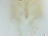  ( - RMNH.5091538)  @11 [ ] CreativeCommons - Attribution Non-Commercial Share-Alike (2018) Unspecified Naturalis Biodiversity Center