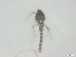  ( - RMNH.5091540)  @11 [ ] CreativeCommons - Attribution Non-Commercial Share-Alike (2018) Unspecified Naturalis Biodiversity Center