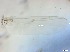  ( - RMNH.5091540)  @11 [ ] CreativeCommons - Attribution Non-Commercial Share-Alike (2018) Unspecified Naturalis Biodiversity Center