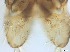  ( - RMNH.5091545)  @11 [ ] CreativeCommons - Attribution Non-Commercial Share-Alike (2018) Unspecified Naturalis Biodiversity Center