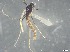  ( - RMNH.5091545)  @11 [ ] CreativeCommons - Attribution Non-Commercial Share-Alike (2018) Unspecified Naturalis Biodiversity Center