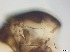  ( - RMNH.5091553)  @11 [ ] CreativeCommons - Attribution Non-Commercial Share-Alike (2018) Unspecified Naturalis Biodiversity Center