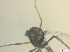  ( - RMNH.5091567)  @11 [ ] CreativeCommons - Attribution Non-Commercial Share-Alike (2018) Unspecified Naturalis Biodiversity Center