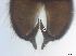  ( - RMNH.5091568)  @11 [ ] CreativeCommons - Attribution Non-Commercial Share-Alike (2018) Unspecified Naturalis Biodiversity Center