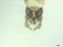  ( - RMNH.5091571)  @11 [ ] CreativeCommons - Attribution Non-Commercial Share-Alike (2018) Unspecified Naturalis Biodiversity Center