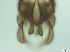  ( - RMNH.5091571)  @11 [ ] CreativeCommons - Attribution Non-Commercial Share-Alike (2018) Unspecified Naturalis Biodiversity Center