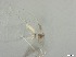  ( - RMNH.5091578)  @11 [ ] CreativeCommons - Attribution Non-Commercial Share-Alike (2018) Unspecified Naturalis Biodiversity Center