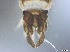  ( - RMNH.5091613)  @11 [ ] CreativeCommons - Attribution Non-Commercial Share-Alike (2018) Unspecified Naturalis Biodiversity Center