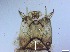  ( - RMNH.5091628)  @11 [ ] CreativeCommons - Attribution Non-Commercial Share-Alike (2018) Unspecified Naturalis Biodiversity Center
