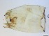  ( - RMNH.5091636)  @11 [ ] CreativeCommons - Attribution Non-Commercial Share-Alike (2018) Unspecified Naturalis Biodiversity Center