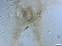  ( - RMNH.5091657)  @11 [ ] CreativeCommons - Attribution Non-Commercial Share-Alike (2018) Unspecified Naturalis Biodiversity Center