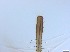  ( - RMNH.5091670)  @11 [ ] CreativeCommons - Attribution Non-Commercial Share-Alike (2018) Unspecified Naturalis Biodiversity Center