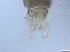  ( - RMNH.5091674)  @11 [ ] CreativeCommons - Attribution Non-Commercial Share-Alike (2018) Unspecified Naturalis Biodiversity Center