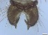  ( - RMNH.5091686)  @11 [ ] CreativeCommons - Attribution Non-Commercial Share-Alike (2018) Unspecified Naturalis Biodiversity Center