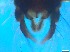  ( - RMNH.5091688)  @11 [ ] CreativeCommons - Attribution Non-Commercial Share-Alike (2018) Unspecified Naturalis Biodiversity Center