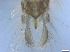  ( - RMNH.5091714)  @11 [ ] CreativeCommons - Attribution Non-Commercial Share-Alike (2018) Unspecified Naturalis Biodiversity Center