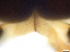  ( - RMNH.5091720)  @11 [ ] CreativeCommons - Attribution Non-Commercial Share-Alike (2018) Unspecified Naturalis Biodiversity Center
