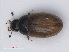  ( - RMNH.INS.535310)  @11 [ ] CreativeCommons - Attribution Non-Commercial Share-Alike (2013) Unspecified Naturalis Biodiversity Center