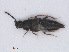  ( - RMNH.INS.535412)  @11 [ ] CreativeCommons - Attribution Non-Commercial Share-Alike (2013) Unspecified Naturalis Biodiversity Center