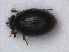  ( - RMNH.INS.535682)  @11 [ ] CreativeCommons - Attribution Non-Commercial Share-Alike (2012) Unspecified Naturalis, Biodiversity Centre