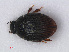 ( - RMNH.INS.535279)  @11 [ ] CreativeCommons - Attribution Non-Commercial Share-Alike (2012) Unspecified Naturalis, Biodiversity Centre