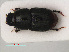  ( - RMNH.INS.535352)  @13 [ ] CreativeCommons - Attribution Non-Commercial Share-Alike (2012) Unspecified Naturalis, Biodiversity Centre