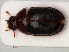  ( - RMNH.INS.535435)  @11 [ ] CreativeCommons - Attribution Non-Commercial Share-Alike (2012) Unspecified Naturalis, Biodiversity Centre