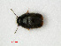  ( - RMNH.INS.535607)  @11 [ ] CreativeCommons - Attribution Non-Commercial Share-Alike (2012) Unspecified Naturalis, Biodiversity Centre