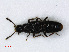  ( - RMNH.INS.536658)  @11 [ ] CreativeCommons - Attribution Non-Commercial Share-Alike (2013) Unspecified Naturalis Biodiversity Center
