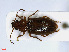 ( - RMNH.INS.542365)  @13 [ ] CreativeCommons - Attribution Non-Commercial Share-Alike (2013) Unspecified Naturalis Biodiversity Center