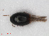  ( - RMNH.INS.536168)  @11 [ ] CreativeCommons - Attribution Non-Commercial Share-Alike (2012) Unspecified Naturalis, Biodiversity Centre