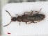  ( - RMNH.INS.543054)  @13 [ ] CreativeCommons - Attribution Non-Commercial Share-Alike (2013) Unspecified Naturalis Biodiversity Center
