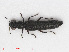  ( - RMNH.INS.543211)  @13 [ ] CreativeCommons - Attribution Non-Commercial Share-Alike (2013) Unspecified Naturalis Biodiversity Center