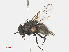  ( - RMNH.INS.545756)  @14 [ ] CreativeCommons - Attribution Non-Commercial Share-Alike (2013) Unspecified Naturalis Biodiversity Center